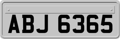 ABJ6365