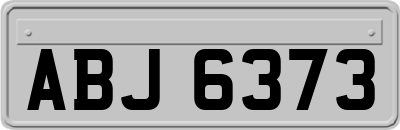 ABJ6373