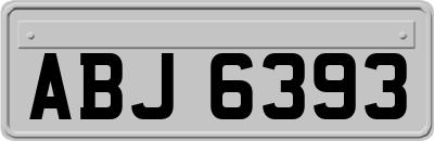 ABJ6393