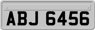 ABJ6456
