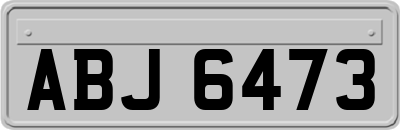 ABJ6473