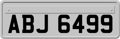 ABJ6499