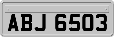 ABJ6503