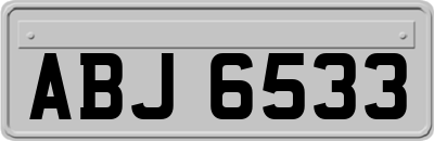 ABJ6533