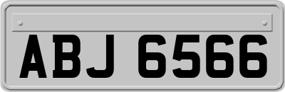 ABJ6566