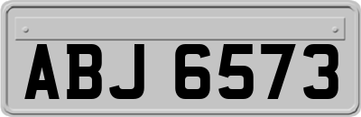 ABJ6573