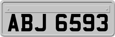 ABJ6593