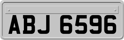 ABJ6596