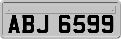 ABJ6599