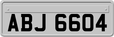 ABJ6604