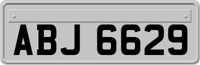 ABJ6629