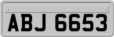 ABJ6653