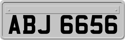 ABJ6656