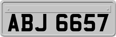 ABJ6657