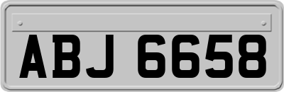ABJ6658