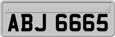 ABJ6665