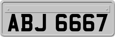 ABJ6667