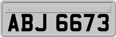 ABJ6673