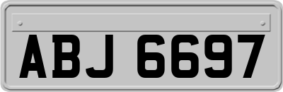 ABJ6697