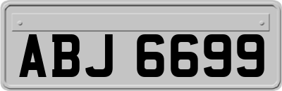 ABJ6699