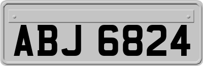 ABJ6824