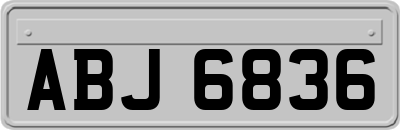ABJ6836