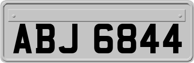 ABJ6844