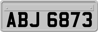 ABJ6873