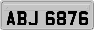 ABJ6876