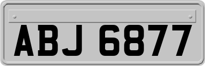 ABJ6877