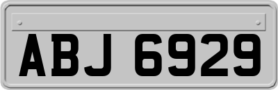 ABJ6929