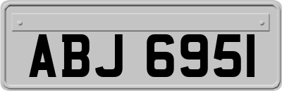 ABJ6951
