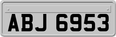 ABJ6953