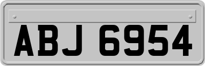 ABJ6954
