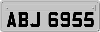 ABJ6955