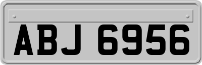 ABJ6956