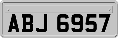 ABJ6957