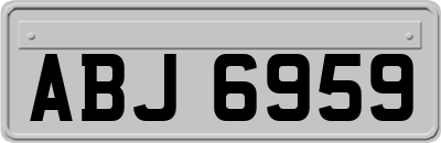 ABJ6959