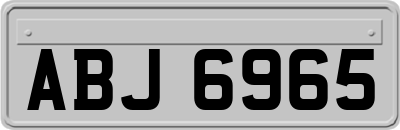 ABJ6965