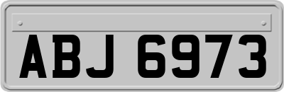 ABJ6973