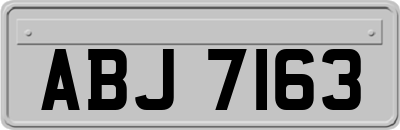 ABJ7163