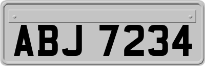 ABJ7234
