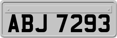 ABJ7293
