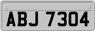 ABJ7304