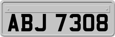 ABJ7308
