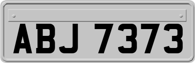 ABJ7373