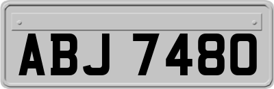 ABJ7480