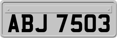 ABJ7503