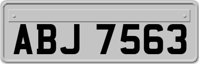ABJ7563