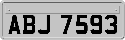 ABJ7593